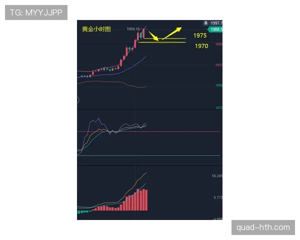 纽卡赛季后期状态波动逐步显现,对联赛竞争格局造成影响 纽卡赛季后期状态波动逐步显现,对联赛竞争格局造成影响